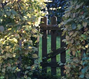 garden gate